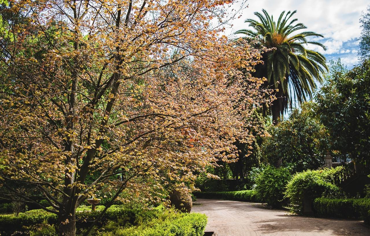 Hacienda Los Lingues Chile Valle De Colchagua מראה חיצוני תמונה